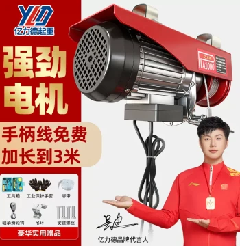 Mini Electric Hoist 220V Home Small Lifting Crane 1T 0.5T Winch Lift for Renovation