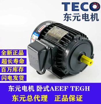 TECO Wuxi Dongyuan Motor AEEF 0.18 0.37 0.75 1.5KW Brake Motor 380V Electric Motor
