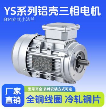 YS Vertical Aluminum Housing Motor 380V Pure Copper 0.37/0.55/0.75/1.1/1.5/2.2KW Three-Phase Electric Motor