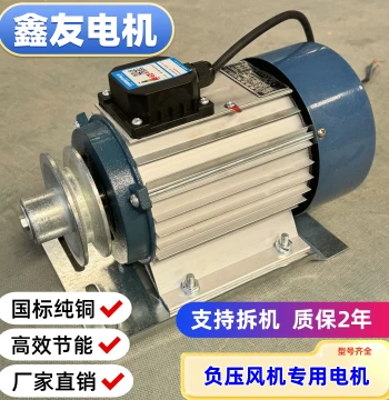 Xinyou Motor Negative Pressure Fan Motor 380V Motor Exhaust Fan Motor Pure Copper Fan Three-Phase Asynchronous Motor