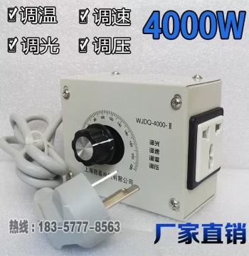 4000W High-Power Imported Temperature Control Switch National Standard Plug Heating Wire Soldering Iron International Multi-function Socket