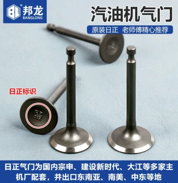 Complete Gasoline Engine Parts for Mini Tillers, Generators, and Household Water Pumps: Valve Stems, Cylinder Heads, Intake/Exhaust Valve Seats by Rizheng