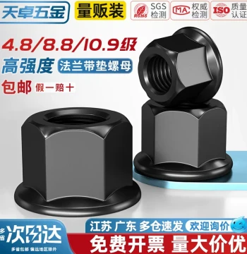 Tianzhu Hardware Raised Flange Nut with Integrated Washer Hex Thick Screw Nut for Mold Clamping Plates M8 M12 M16-M30