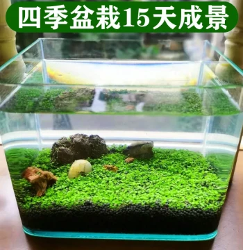 Eco Glass Fish Tank Small Aquatic Plants Home Use Oxygen Pump Aerator Special for Fish Keeping Home Aeration Machine