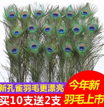 100% Natural Real Peacock Feathers with Large Eyes, DIY Accessories, Home Decor, Living Room Wedding Vase Ornaments