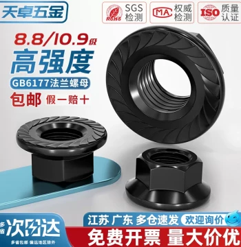 National Standard Grade 8.8/10.9 High Strength Flange Nuts with Serrated Teeth