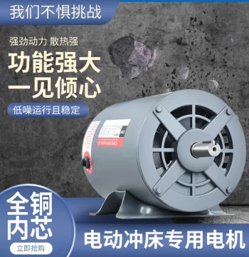 Futong Xinglong Motor CCC Certified Motor Punching Machine Motor Single-Phase 250W 370W 450W Replacement Within 1 Year No Repair