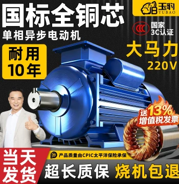 Single-Phase Motor 220V Pure Copper Coil Compact High-Efficiency Operation National Standard Full Copper Core High-Speed Asynchronous Motor Durable