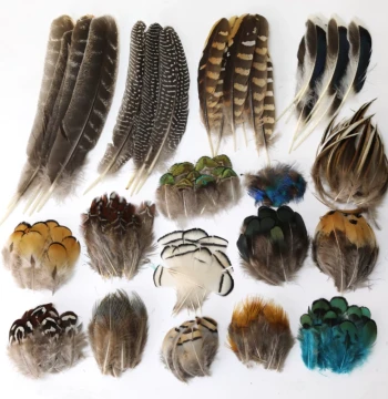 Small Feathers for Kindergarten Crafts and Jewelry Accessories, Wild Chicken Feathers, DIY Bird Feather Decoration Materials for Specimen Making