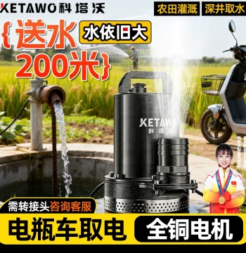 EV Dedicated DC Water Pump - 12V/24V/48V/72V Small High-Lift Submersible Pump for Home and Agricultural Irrigation
