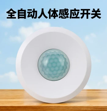 Surface-Mount Ceiling Motion Sensor Switch (220V) for Hallways and Bathrooms - Adjustable Delay Infrared Sensor