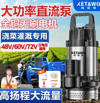 Electric Scooter Special Submersible Pump 12V 48V 60V 72V High Power High Flow Brushless Water Pump Agricultural Irrigation Machine
