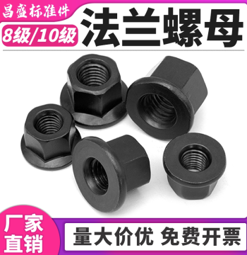 Flange Nut with Integrated Washer, Raised Hex Design for Mold Clamping Plates, M8/M10/M12/M14/M16/M20/M22/M24