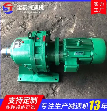 Cycloidal Pin Wheel Reducer Single-Stage Horizontal Double-Shaft Type Flange Cycloidal Pin Wheel Reducer Custom Processing