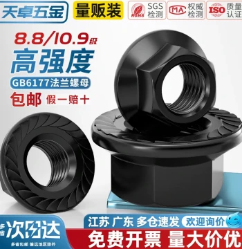 National Standard Grade 8.8/10.9 High-Strength Flange Nut Hex Anti-Slip Nut with Washer and Teeth