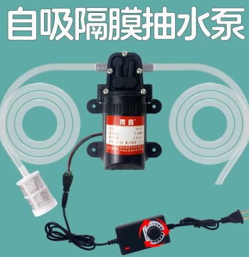 12V Mini High-Suction Self-Priming Pump, Micro Water Purifier, Pure Drinking Water Dispenser, High-Power DC Booster Pump