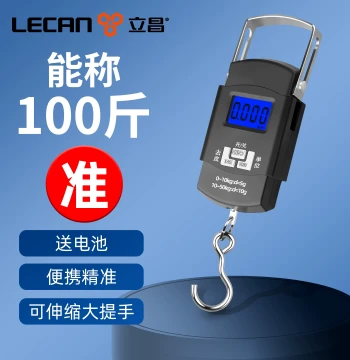 Handheld Electronic Scale, High-Precision Mini Portable Home Travel Luggage Scale, Express Weighting Device, Small Handheld Scale