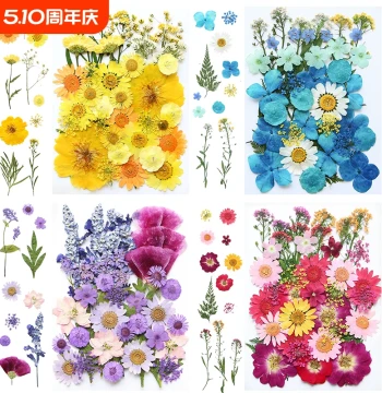 Dried Flower Material Kit DIY Preserved Flower Pressed Flower Sheets Grass Handmade Resin Bookmark Real Flower Plant Leaf Specimen Cherry Blossom