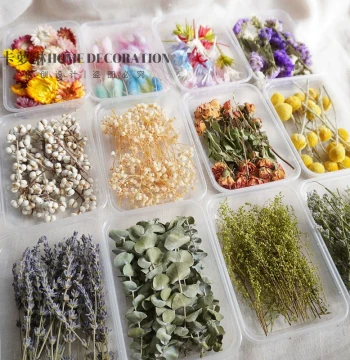 Baby's Breath Eucalyptus Mini Dried Flowers Rose Heads Boxed DIY Photo Frame Resin Dried Flower Materials Naturally Air-Dried