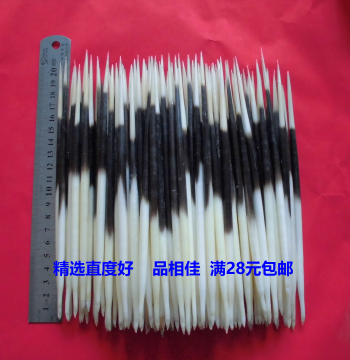 Farmed Porcupine Quills - Premium Quality for Toothpicks, Fishing Floats, Hairpins, Tea Picks, and Ancient Coin Cleaning Tools