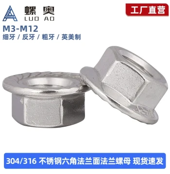 304 Stainless Steel Hex Flange Nut with Anti-Slip Locking Teeth, M3/M6/M8/M10/M12/M14/M16/M20
