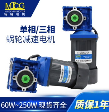 Speed Control Worm Gear Reducer Motor RV30 RV40 Right Angle Motor 40W-250W Electric Motor 220V/380V