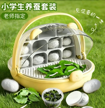 Silkworm Baby Student Rearing Kit, Spring Colorful Small Silkworm Rearing Box, Grade 3 Volume 2 Science Experiment