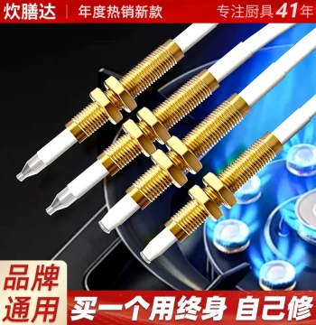 Universal Gas Stove Ignition Needle - Ceramic Thermocouple Sensor for Natural Gas Stoves (Compatible with Vatti, Robam, etc.)