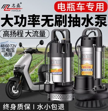 Brushless DC Submersible Pump 48V/60V/72V, Dedicated Water Pump for Electric Scooters, Agricultural Irrigation Machine