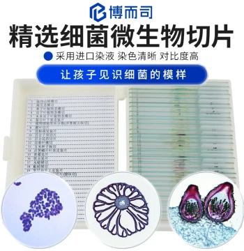 Boersi Microscope Biological Specimen Slides Observation Accessories Animal Plant Cell Insect Bacteria Microorganism HD High-Transparency Sample Glass Slides Children Student Teaching Set Experiment