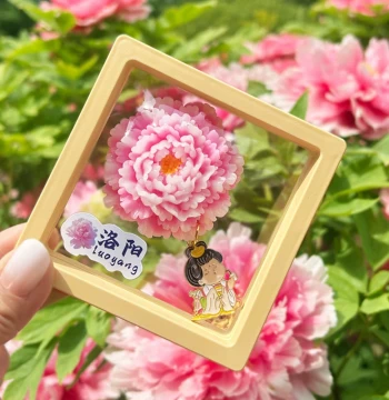 Henan Luoyang Specialty Peony Flower 3D Stereo Refrigerator Magnet, Magnetic Sticker, Tourism Cultural Creative Souvenir, Gift