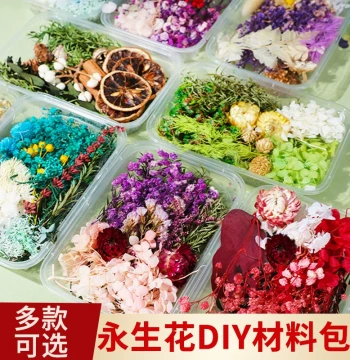 Natural Dried Flowers Preserved Flowers Artificial Flowers Simulation Flowers Pressed Flowers Children's DIY Craft Kit Mother's Day Gift