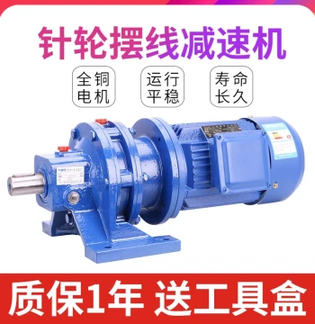 Cycloidal Pinwheel Reducer Three-Phase 380V National Standard Planetary Speed Reduction Lifting Mixer BWY/BWD Copper Core Motor