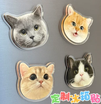 Custom Acrylic Refrigerator Magnet Photos Pets Kittens Dogs 3D Premium Healing Style Magnetic Sticker Custom Made
