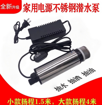 220V Electric Liquid Transfer Pump – Stainless Steel Submersible Pump for Wine, Water, or Diesel; High Flow Rate for Home Use