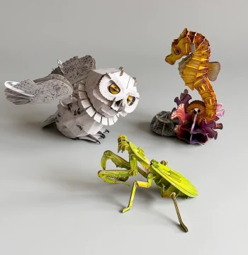 [Super Hot Item] Export US Original Order $29.99 3D Model Animal Insect Puzzle Toy