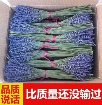 Laich Lavender Dried Flower Bouquet Export Grade, Xinjiang Natural Real Lavender Aromatherapy Gift for Girlfriend