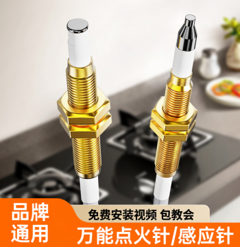 Beishi Universal Gas Stove Ignition Needle with Wire, Induction Copper Pin, Built-in Gas Stove Repair Parts
