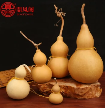 Large Natural Gourd Pendant with Dragon Head, Uninscribed Real Gourd with Seeds, Home Living Room Decoration
