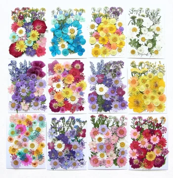 Dried Flower Handmade DIY Materials Pressed Flower Plant Leaf Specimen Stickers Maple Leaf Bookmark Pressed Flower Decorative Painting Natural Real Flowers