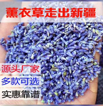 Lavender Dried Flower Granules Bulk Filling Sachet Pillow Aromatherapy Xinjiang Lavender Essential Oil Natural Spice
