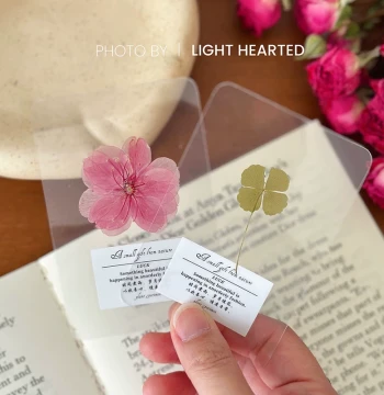 Real Leaf Lucky Clover Four-Leaf Clover Ginkgo Leaf Cherry Blossom Specimen Art Transparent Card Natural Wish Plant Bookmark Commemorative Gift