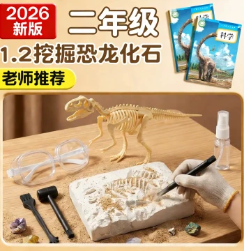 Dinosaur Fossil Archaeology Dig Toy, Grade 2 Science Experiment Kit, Student Dinosaur Skeleton Model