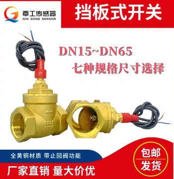 Air Energy High-Flow All-Copper Check Valve, Baffle-Type Water Flow Sensor Signal Flow Switch