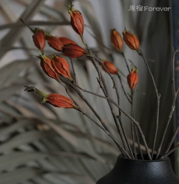 Natural Air-Dried Real Plant Gardenia Fruit Dried Flowers Retro Homestay Decor Display Orange-Red Dried Fruit for Floral Arrangement