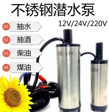 Stainless Steel DC Alcohol Pump for Liquor Diesel Kerosene Spring Water 12V 24V 220V Submersible Small Household Water Pump