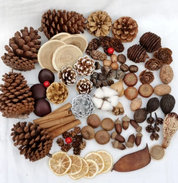 Free Shipping Dried Flowers Dried Fruits Nut Shells Pine Cones Decoration Handmade DIY Natural Raw Materials Forest Style Aromatherapy Christmas