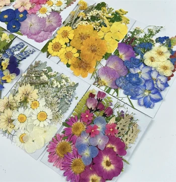 Dried Flower Leaf Pack DIY Handmade Flower Material Kit, Pressed Flower Sticker Materials, Decorative Plant Teaching Specimen Photography Flower Materials