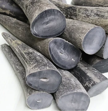 Natural Black Water Buffalo Horn, Yak Horn, and Cattle Horn Solid Tips Suitable for Seal Carving, Knife Handles, Prayer Beads, and Other Crafts