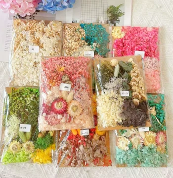 Preserved Flower DIY Exquisite Dried Flower Material Picture Frame Round Fan Floating Bottle Flower Materials Kindergarten Wuhan Real Flower Decoration